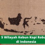 Wajib Tau, Ini 5 Wilayah Kebun Kopi Robusta di Indonesia
