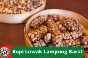 Kopi Luwak Lampung Barat