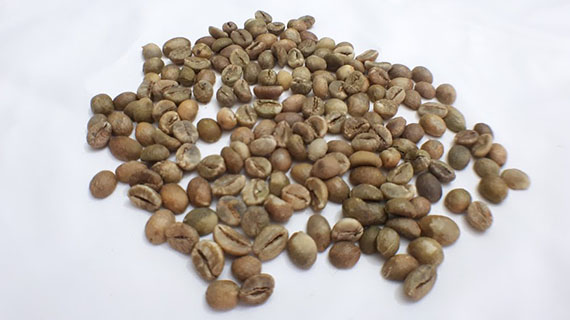 

Pahami Kriteria Standard Green Beans Kopi
