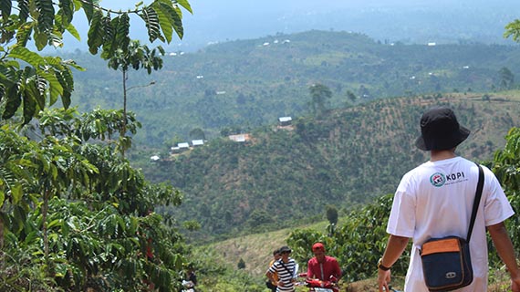 Memahami Cerita dan Progres Kopi Lampung di Tanah Air
